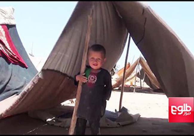 1.2 Million Afghans Displaced this Year: AIHRC